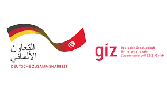 logo-giz